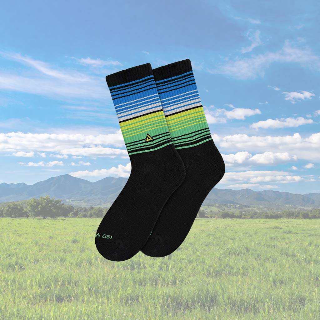 ¡VIVA! - Horizon Sarape - Image 3